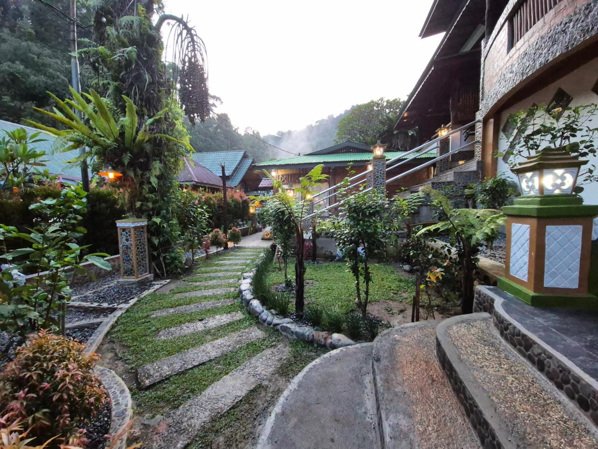 Sam'S Bungalows And Treks Bukit Lawang Eksteriør billede