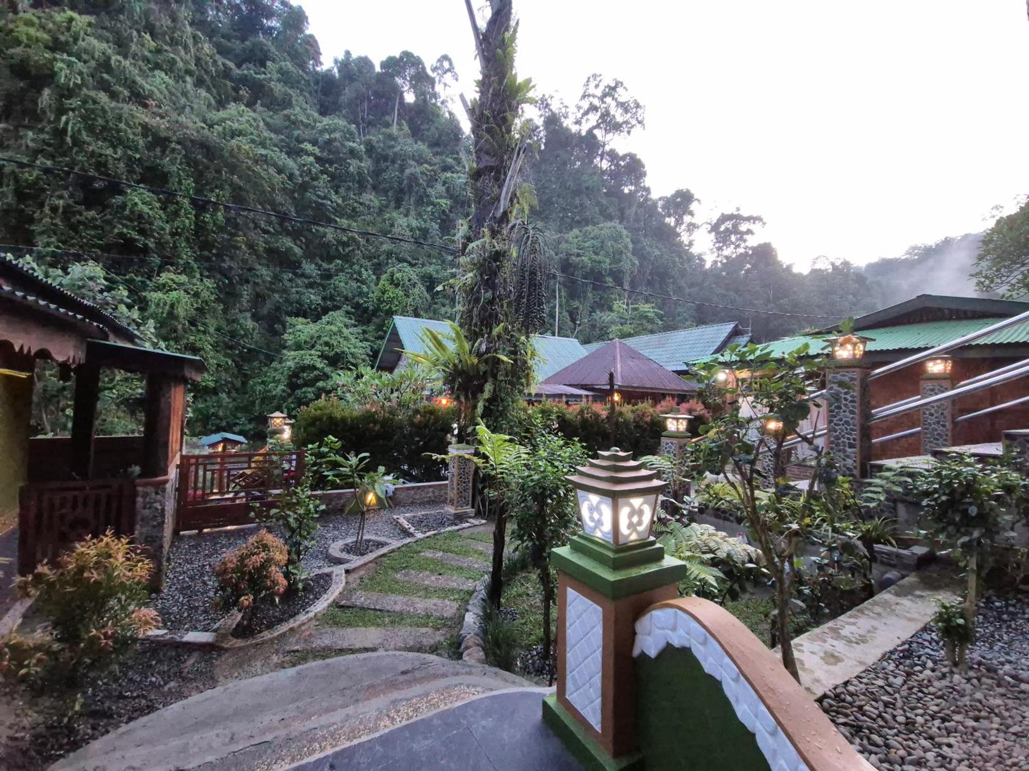 Sam'S Bungalows And Treks Bukit Lawang Eksteriør billede