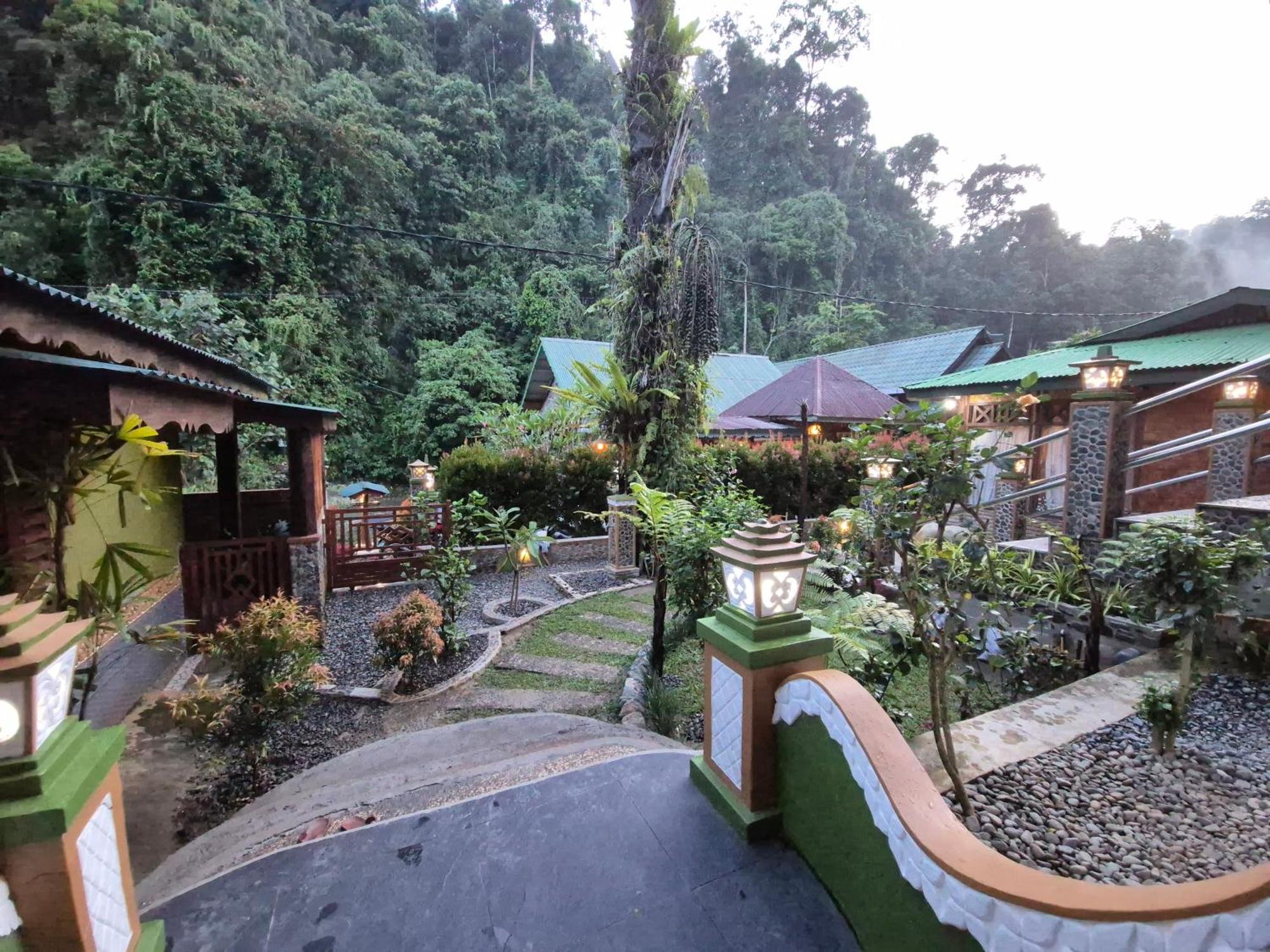 Sam'S Bungalows And Treks Bukit Lawang Eksteriør billede